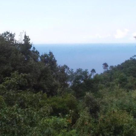 B&B La Capanna Rossa San Romolo Экстерьер фото