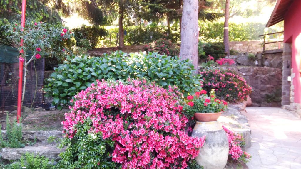 B&B La Capanna Rossa San Romolo Экстерьер фото