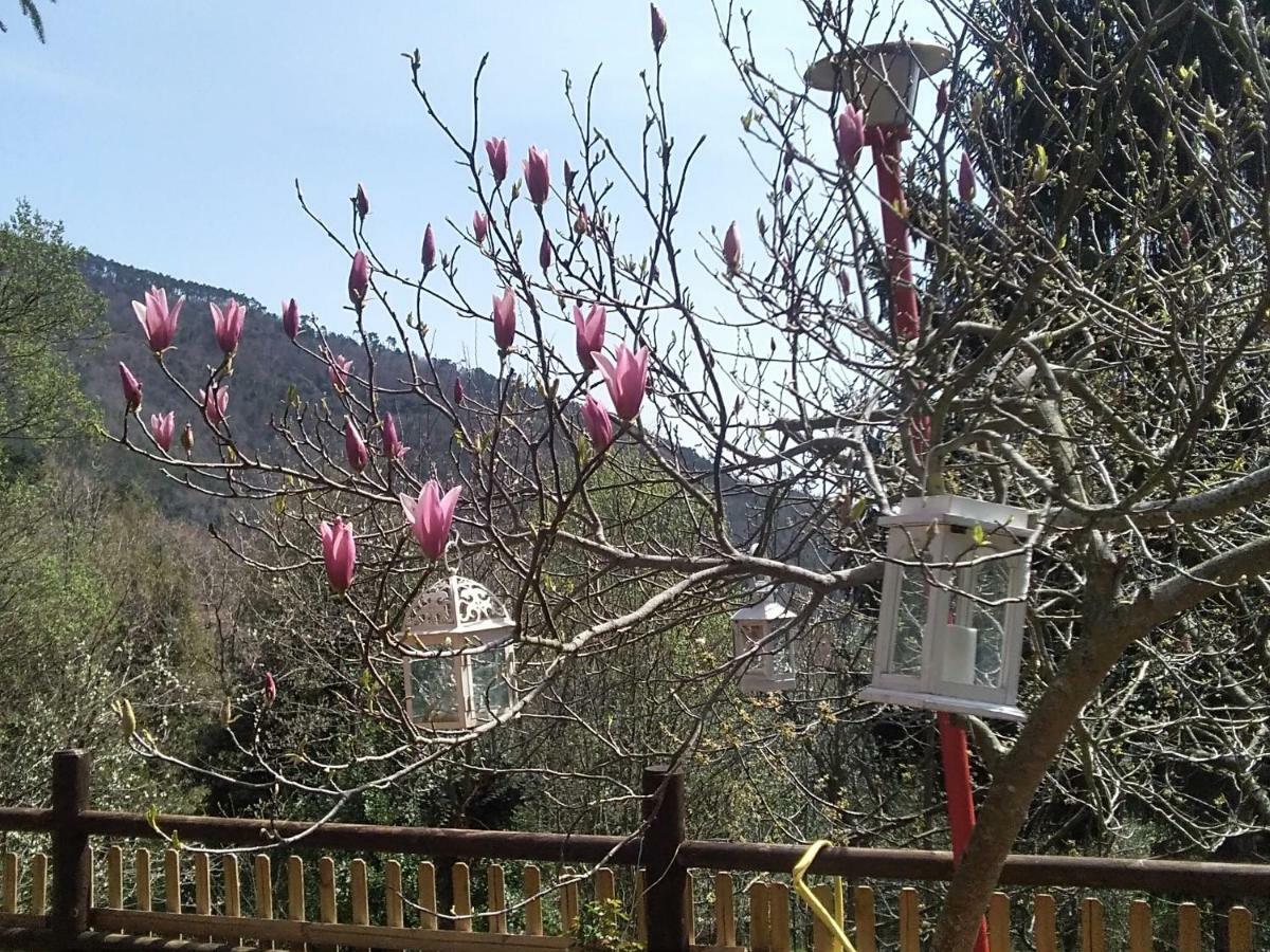 B&B La Capanna Rossa San Romolo Экстерьер фото